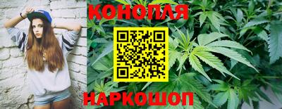дживик Моздок