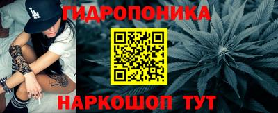 гидропоника Можайск