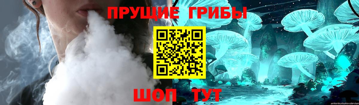 закладки  Галлюциногенные грибы Psilocybe  Вход с VPN  Владикавказ 